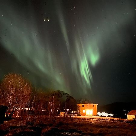 Pederstua, A Classic Fisherman'S Farm House In The Middle Of Lofoten Storeidet المظهر الخارجي الصورة