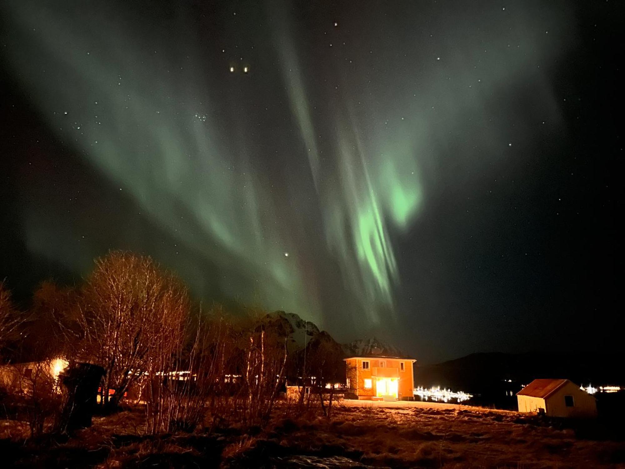 Pederstua, A Classic Fisherman'S Farm House In The Middle Of Lofoten Storeidet المظهر الخارجي الصورة